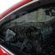 HEKO | Deflektory / ofuky okien pre Renault Kadjar 5D 2015-vyššie 4ks predne+zadne