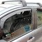 HEKO | Deflektory / ofuky okien pre Citroen C3 5D 2002-2009 4ks predne+zadne