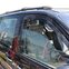 HEKO | Deflektory / ofuky okien pre Kia Carnival 5D 1999-2005 2ks predne